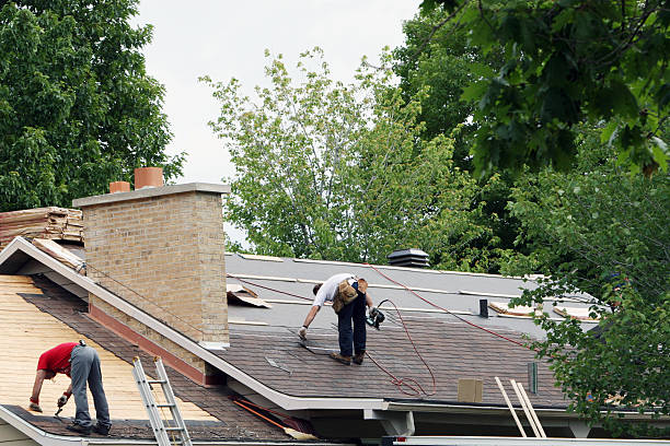 Best Roof Maintenance Services  in Laurel Hill, VA